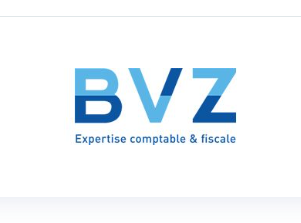 logo bvz